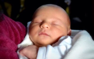 The Virgin Birth – REALLY? Part 2 of 6