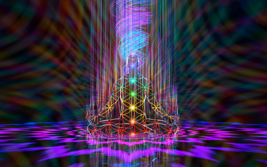 Chakras & Our Energy Field