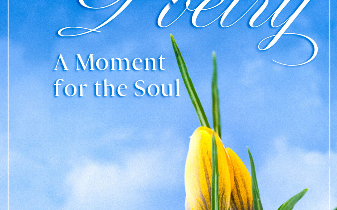 Micro Poetry: A Moment for the Soul